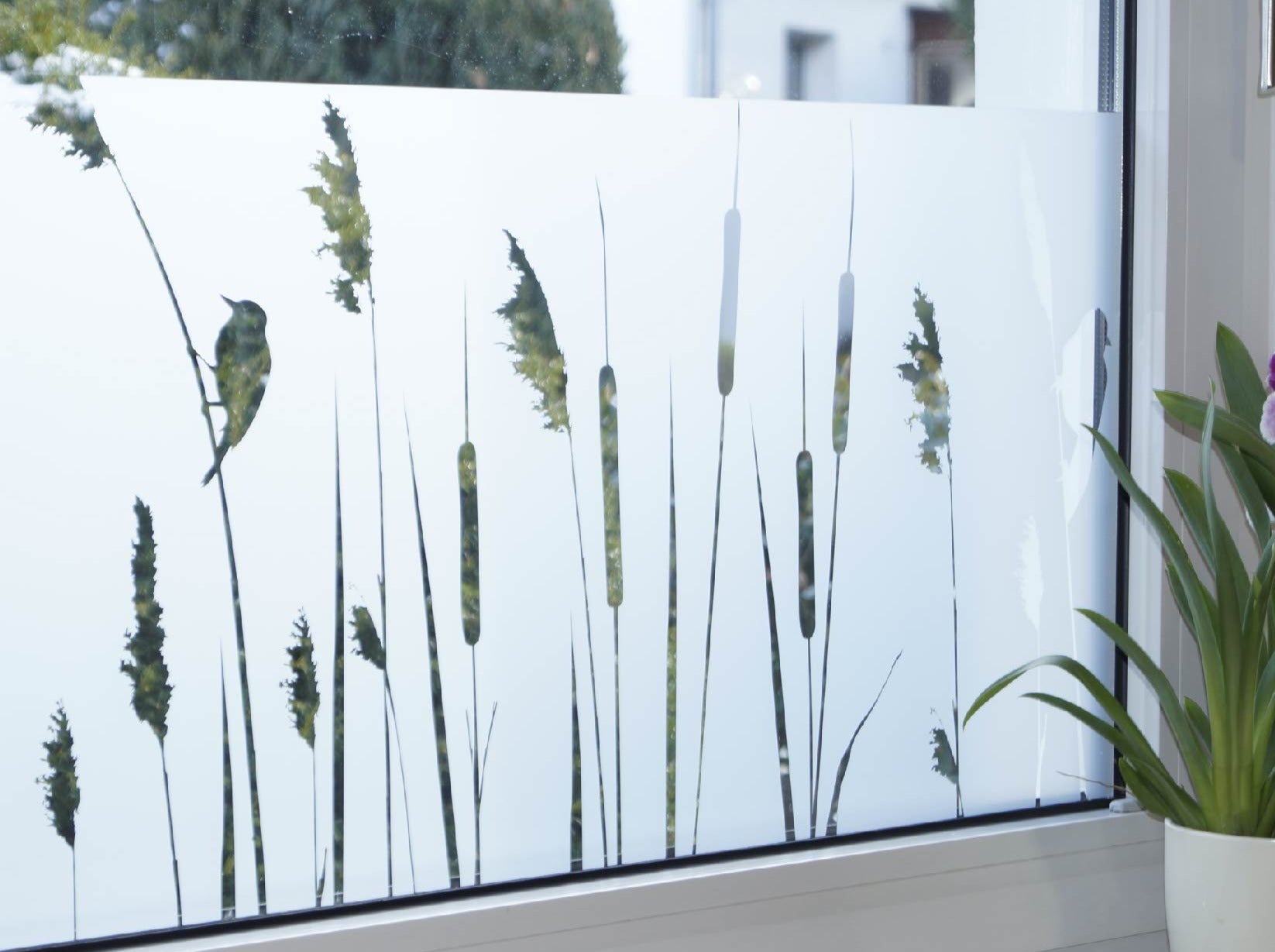 Wiese mit Vögeln Folie für Fenster, selbstklebende Sichtschutz Folie Glas