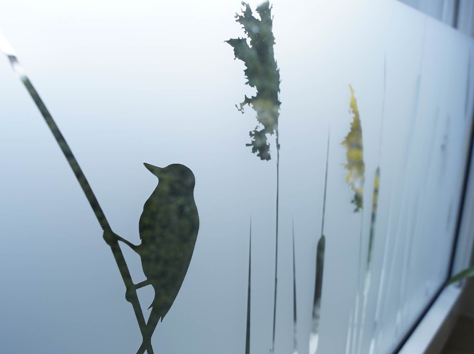 Milchglasfolie Gräser mit Vogel  nah