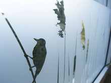 Cargue la imagen en el visor de la galería, pastos de película esmerilada con pájaro de cerca