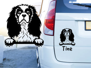 Autoaufkleber Cavalier King Charles Spaniel
