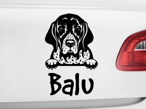 Autoaufkeber Hund English Pointer