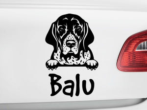 Autoaufkeber Hund English Pointer