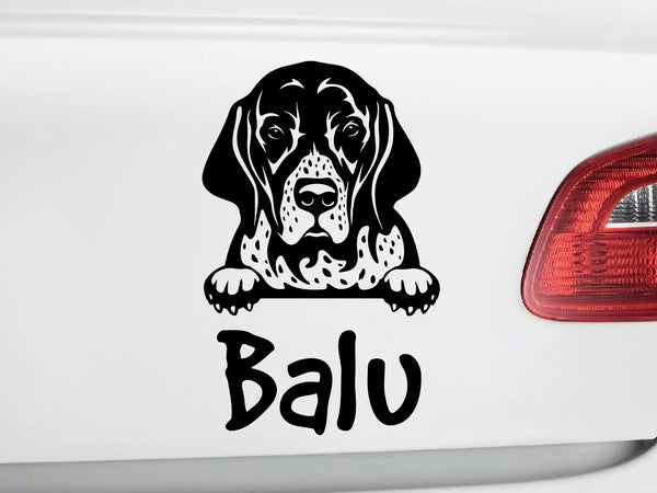Autoaufkeber Hund English Pointer