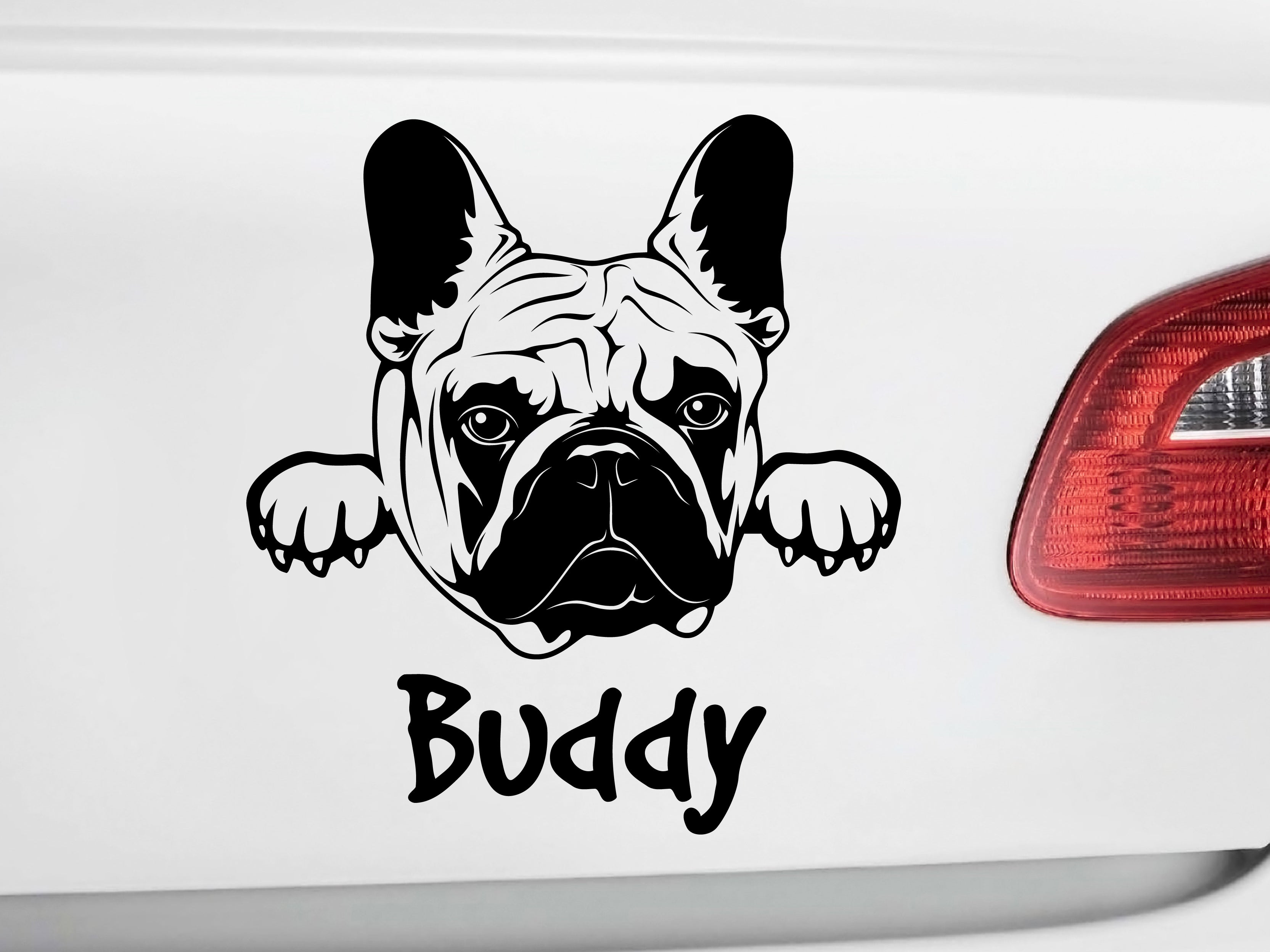 Auto Aufkleber Chihuahua Name fährt mit Autoaufkleber Hund Hunde Sticker  A1305