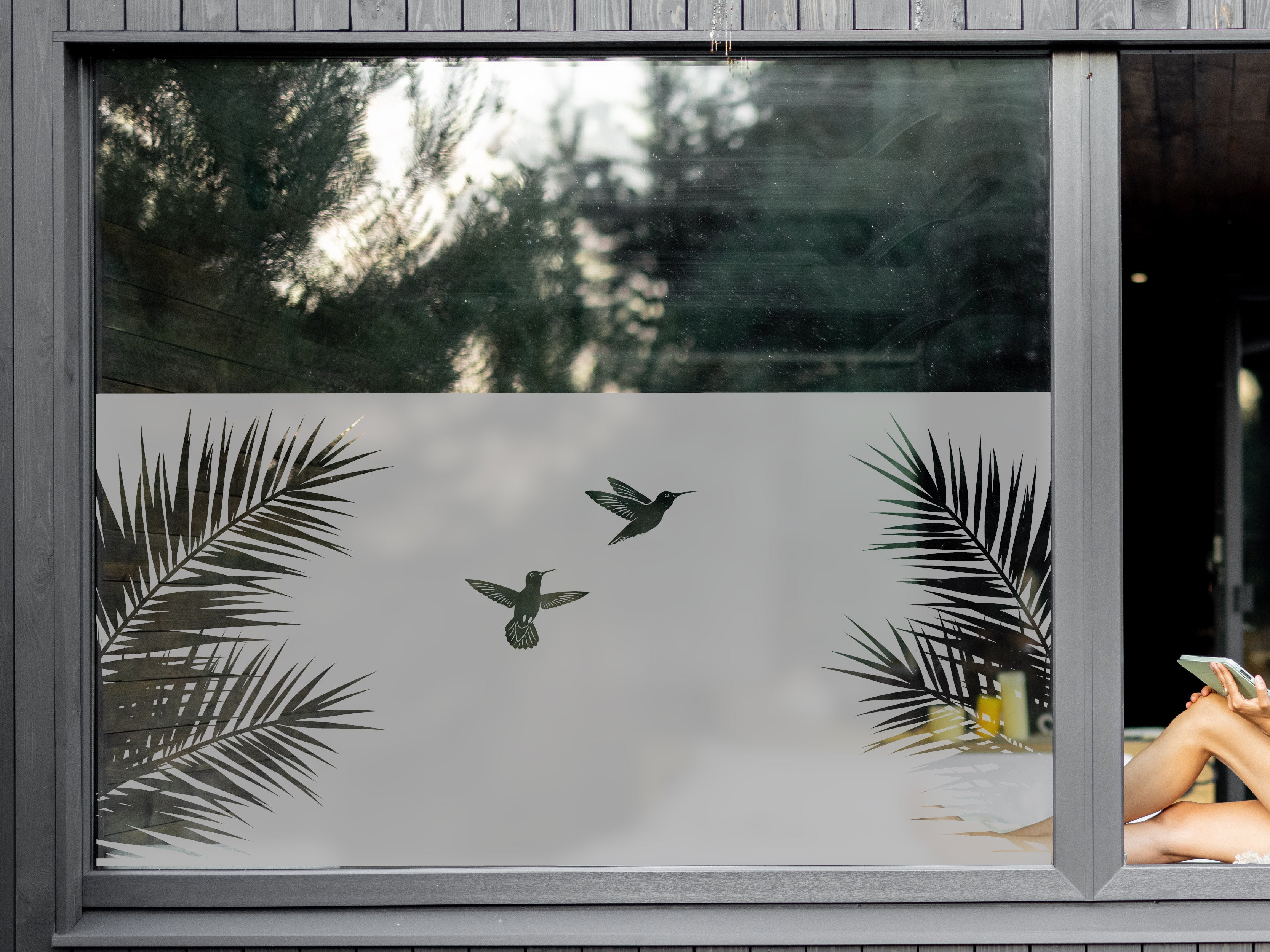 Película de vidrio esmerilado palmeras con película de privacidad de colibrí
