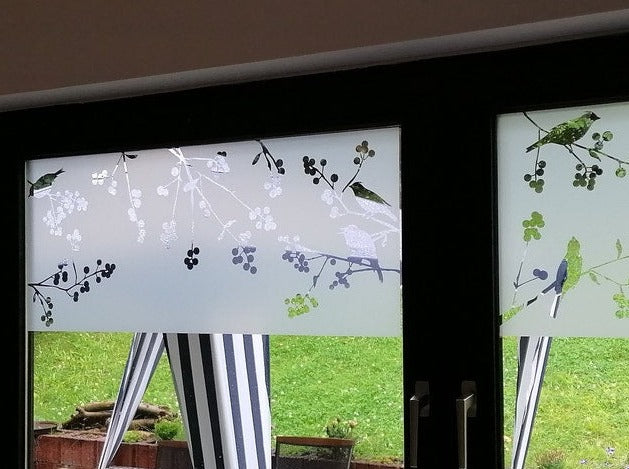 Película de vidrio esmerilado, pájaros en las ramas, película de privacidad, imagen del cliente